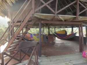 DSCI0816